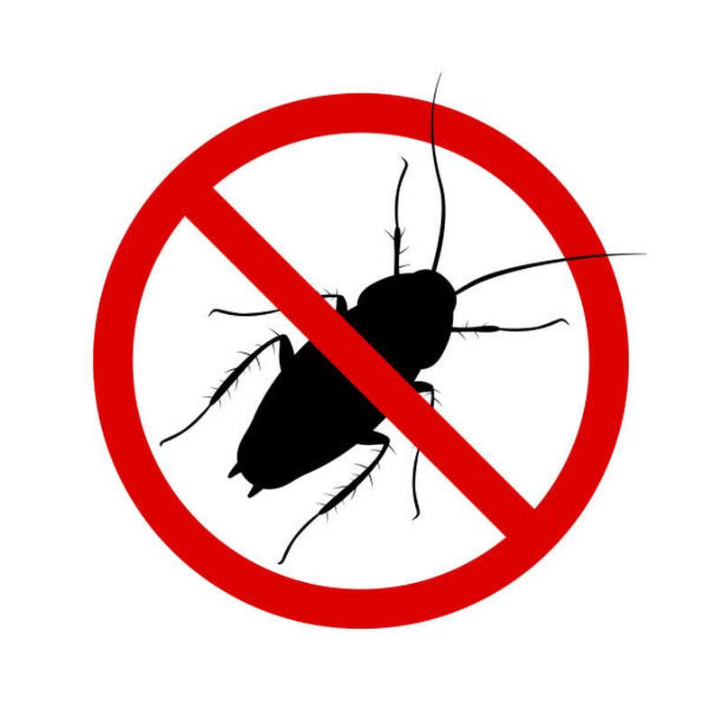 Servicii DDD – Dezinsectie, Deratizare, Dezinfectie la standarde inalte