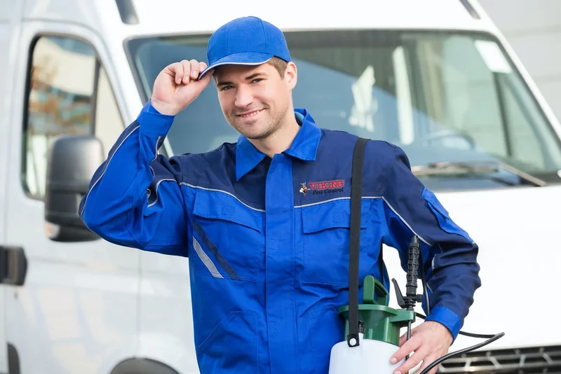 Servicii DDD – Dezinsectie, Deratizare, Dezinfectie la standarde inalte