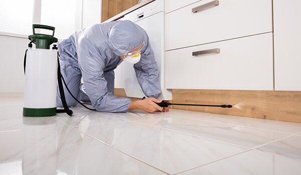 Servicii DDD – Dezinsectie, Deratizare, Dezinfectie la standarde inalte